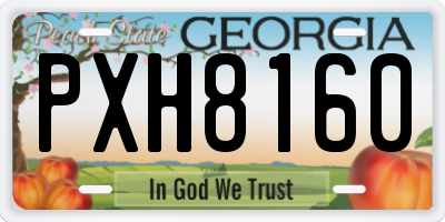 GA license plate PXH8160