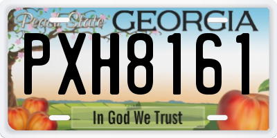 GA license plate PXH8161