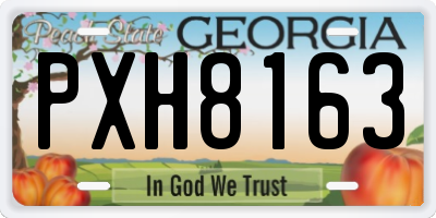 GA license plate PXH8163