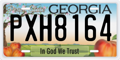 GA license plate PXH8164