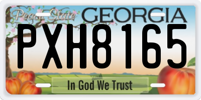 GA license plate PXH8165