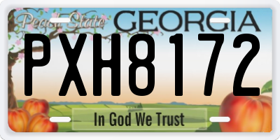GA license plate PXH8172