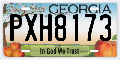 GA license plate PXH8173