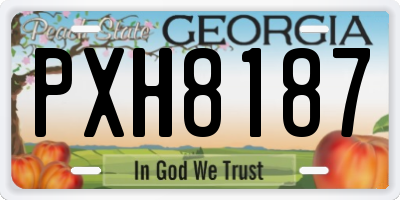 GA license plate PXH8187