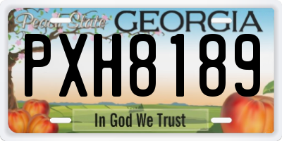 GA license plate PXH8189