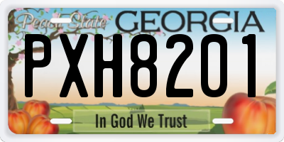 GA license plate PXH8201