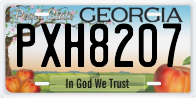 GA license plate PXH8207