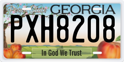 GA license plate PXH8208