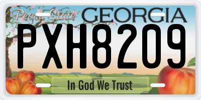 GA license plate PXH8209