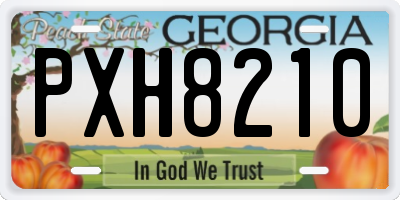 GA license plate PXH8210