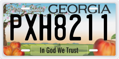 GA license plate PXH8211