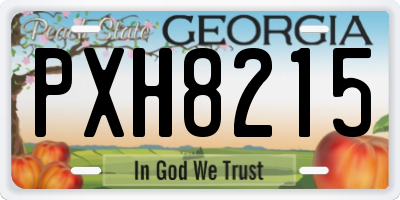 GA license plate PXH8215