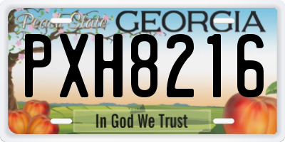 GA license plate PXH8216