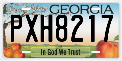GA license plate PXH8217