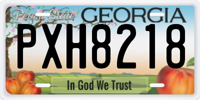 GA license plate PXH8218