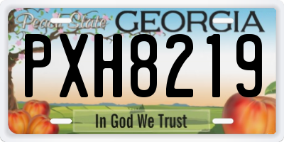 GA license plate PXH8219