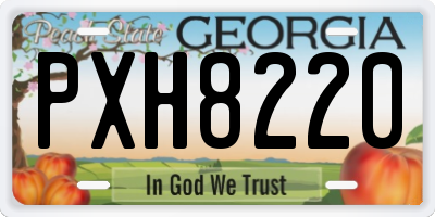 GA license plate PXH8220