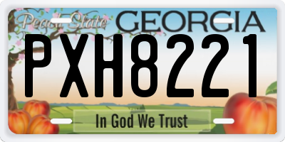 GA license plate PXH8221