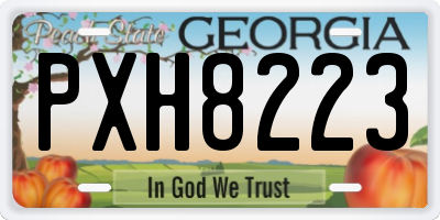 GA license plate PXH8223