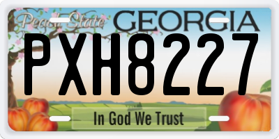 GA license plate PXH8227