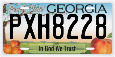 GA license plate PXH8228