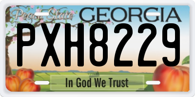 GA license plate PXH8229