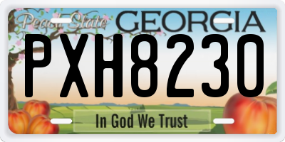 GA license plate PXH8230