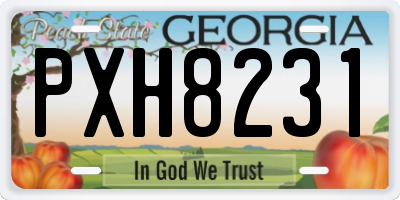 GA license plate PXH8231