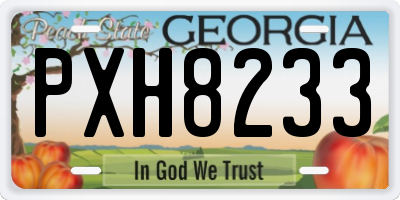 GA license plate PXH8233