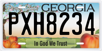 GA license plate PXH8234