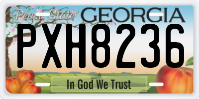 GA license plate PXH8236