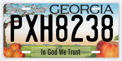 GA license plate PXH8238