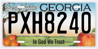 GA license plate PXH8240