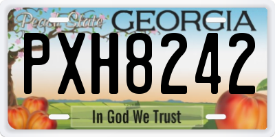 GA license plate PXH8242