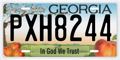 GA license plate PXH8244