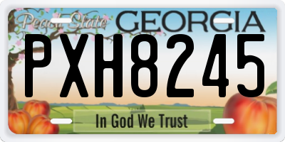 GA license plate PXH8245