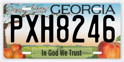 GA license plate PXH8246