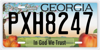 GA license plate PXH8247