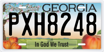 GA license plate PXH8248