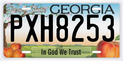 GA license plate PXH8253