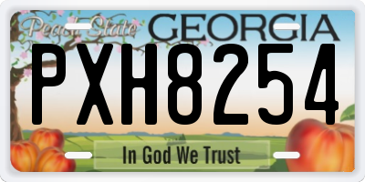 GA license plate PXH8254