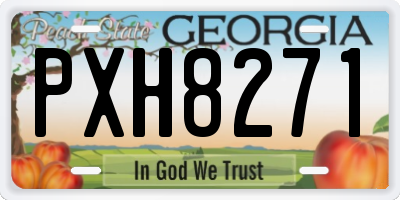 GA license plate PXH8271