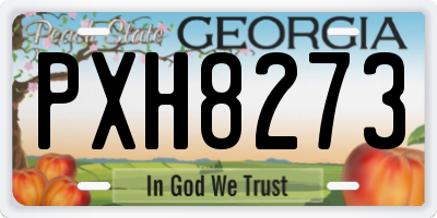 GA license plate PXH8273