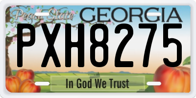 GA license plate PXH8275