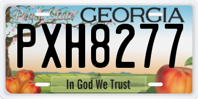 GA license plate PXH8277