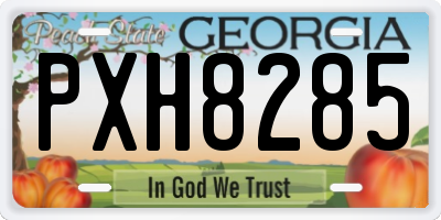 GA license plate PXH8285