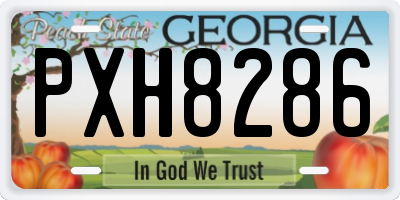 GA license plate PXH8286