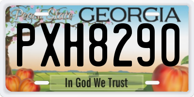GA license plate PXH8290