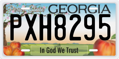 GA license plate PXH8295