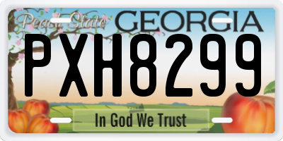 GA license plate PXH8299